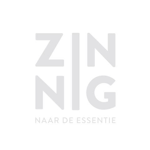 logo_zinnin-480x480